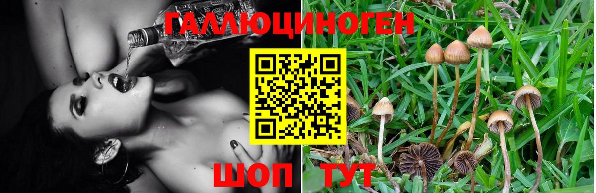 Псилоцибиновые грибы прущие грибы  Галлюциногенные грибы Psilocybe  Вход с VPN  Сегежа 