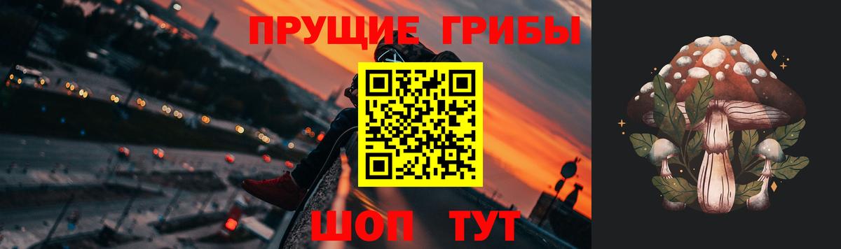 Псилоцибиновые грибы Psilocybe Сегежа
